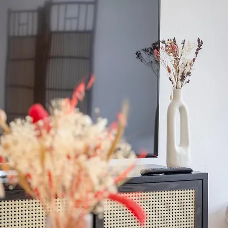 Apartment Spacestays Wifi Netflix Parking! *